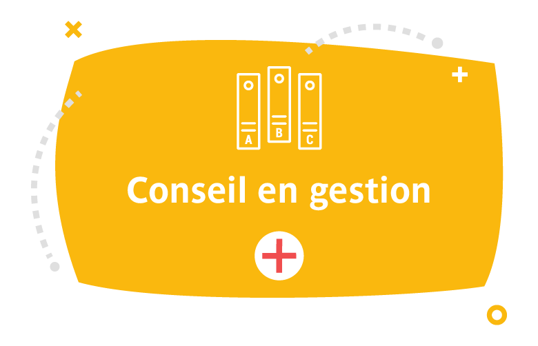 Conseil en gestion